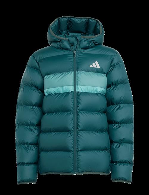 adidas Sportswear | J Sd Jkt | 176