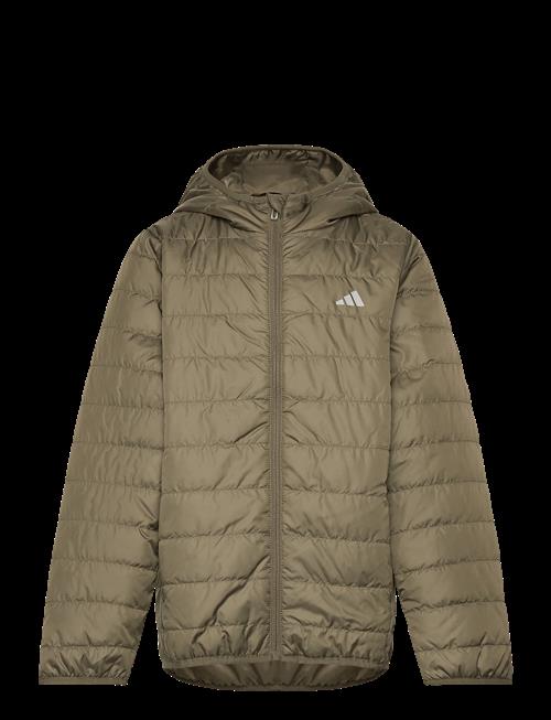 adidas Sportswear | J Ess L Pad Jkt | 176