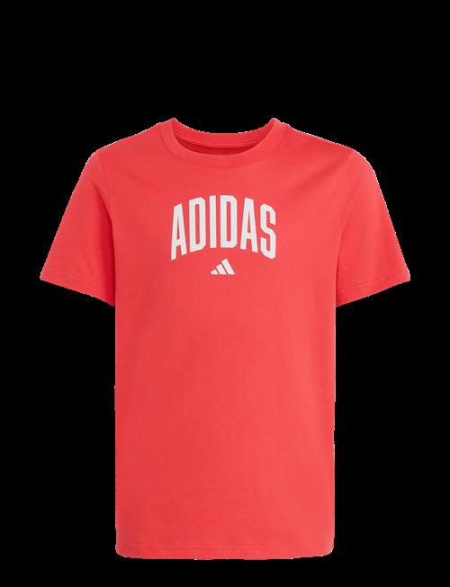 adidas Sportswear | J Colleg T | 176