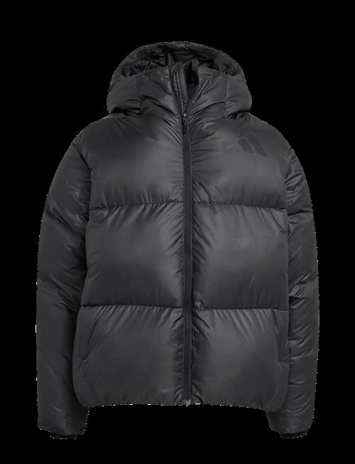 adidas Sportswear | J Z.n.e. Jkt | 164