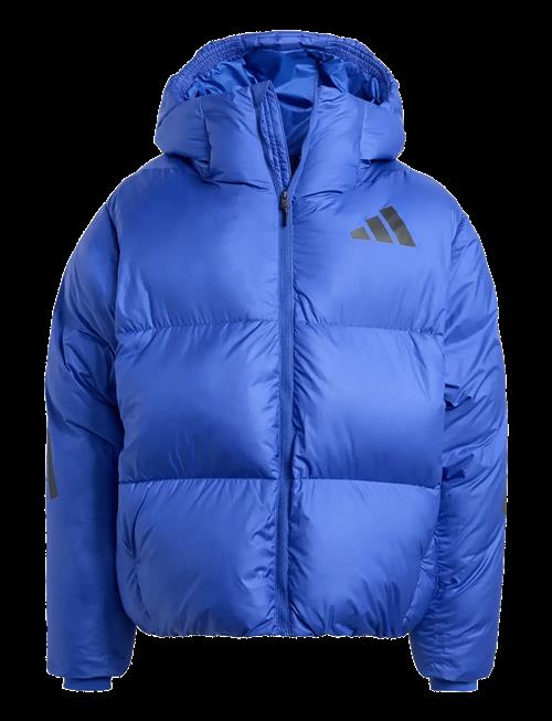 adidas Sportswear | J Z.n.e. Jkt | 176
