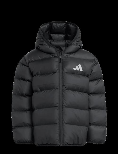 adidas Sportswear | Lk Sd Jkt | 122