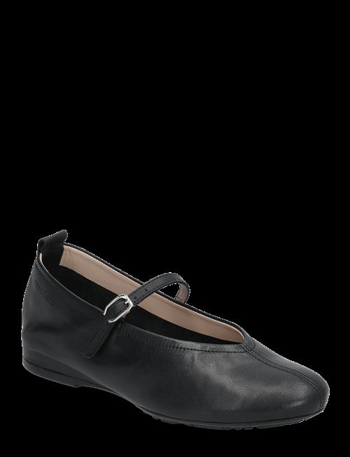 Wonders | Gracia | 39