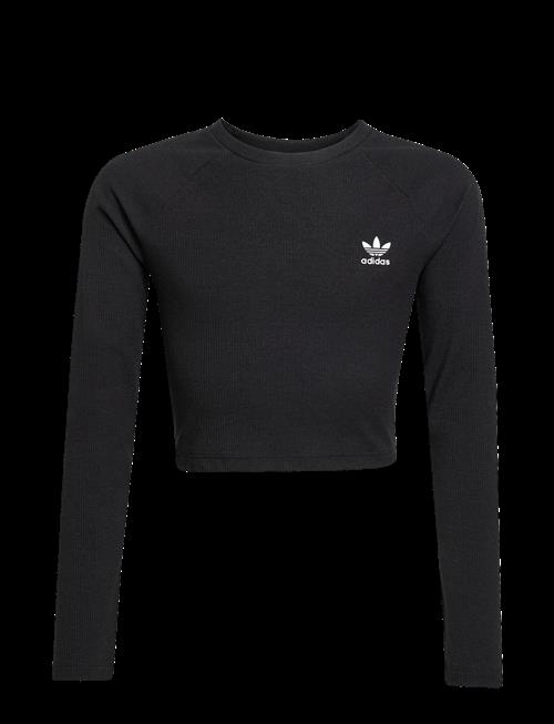 adidas Originals | Rib C Ls Tee | 164