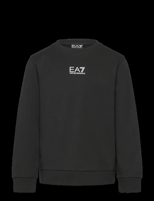 EA7 | Sweatshirt | 128