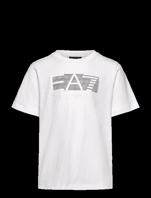 EA7 | T-Shirt | 104