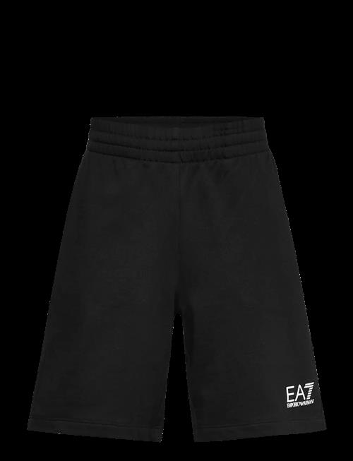 EA7 | Bermuda | 116