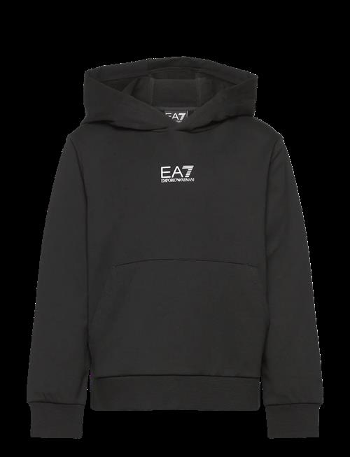 EA7 | Sweatshirt | 116