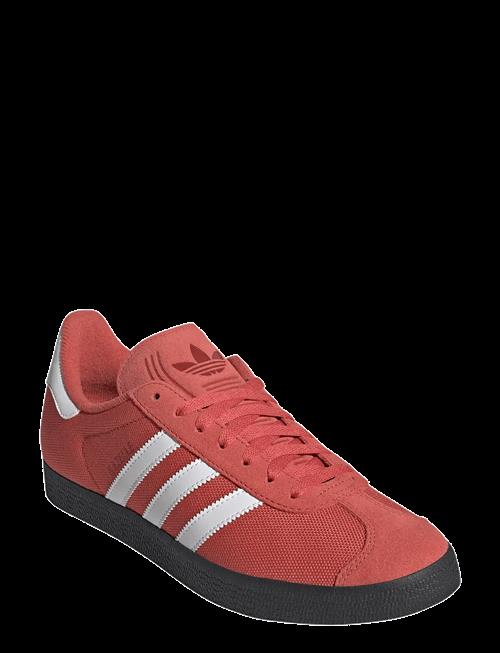 adidas Originals | Gazelle | 45 1/3