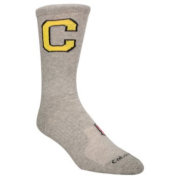 Calvin Klein Strømper Omer Jeans Varsity Patch Socks Grå Str 40/46 Herre