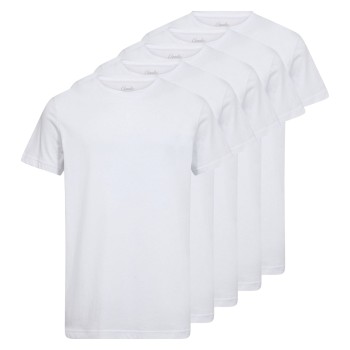 Claudio 5P Cotton T-Shirt Hvid bomuld X-Large Herre