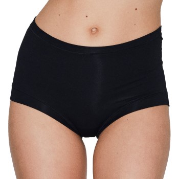 JBS of Denmark Trusser Bamboo Maxi Brief Sort X-Large Dame