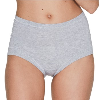 JBS of Denmark Trusser Bamboo Maxi Brief Lysegrå X-Large Dame