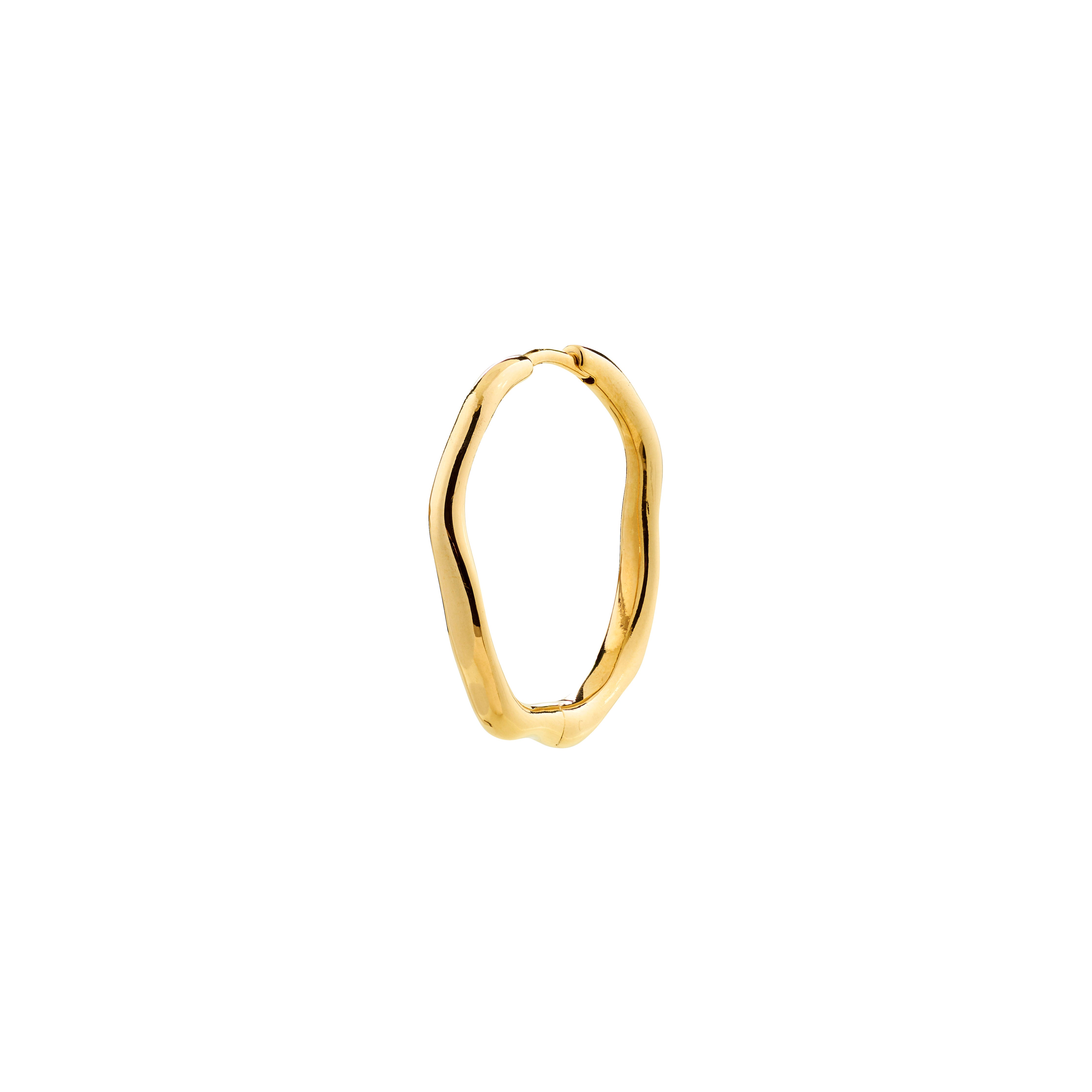Pilgrim xDEA PAVE HOOP 03