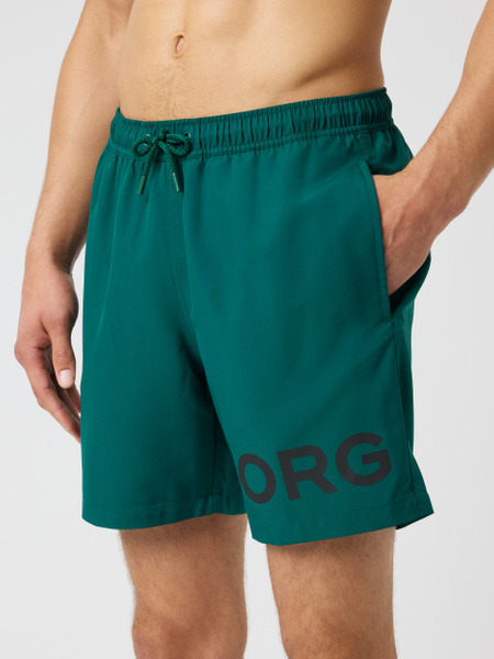 Björn Borg Borg Swim Shorts Grøn, L