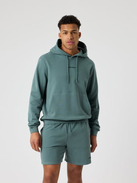 Björn Borg Borg Classic Hoodie Grøn, M