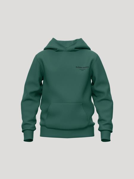 Björn Borg Borg Essential 1 Hoodie Grøn, 146-152