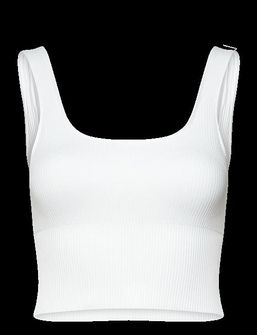 aim´n | Ribbed Seamless Shaping Bralette | XL