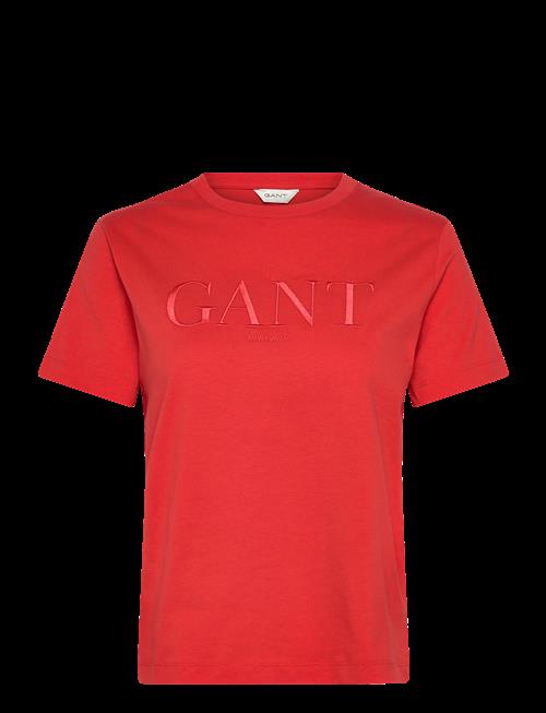 Gant | Reg Tonal Graphic Ss T-Shirt | M