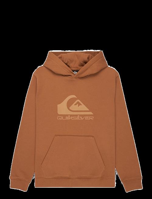 Quiksilver | Comp Logo Hoodie Youth | 1176