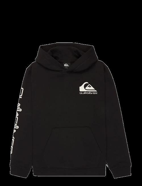 Quiksilver | Omni Logo Hoodie Youth | 12