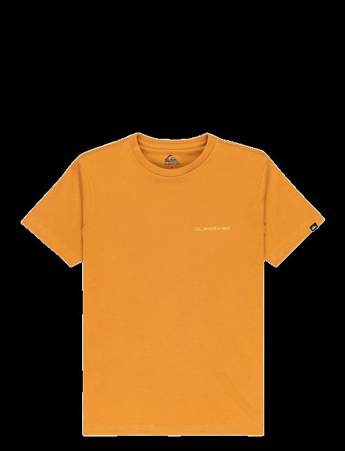 Quiksilver | Ev Desert Waves Ss Youth | 12
