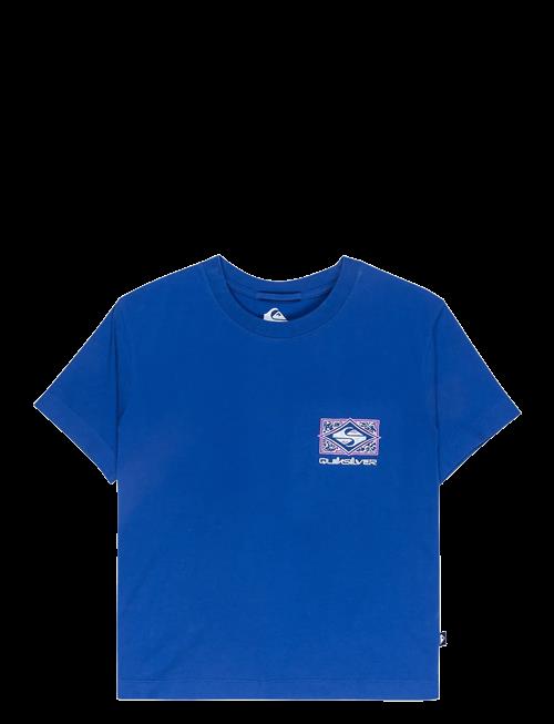 Quiksilver | Standard Ss Tee | XS