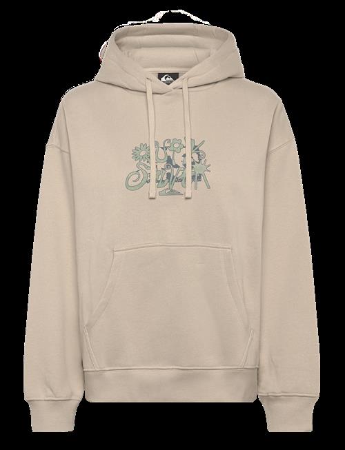 Quiksilver | Standard Hoodie | M