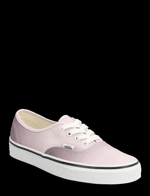 VANS | Authentic | 38