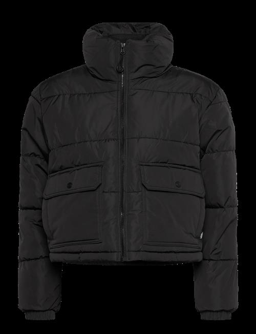 VANS | Mte Aubrey Primaloft Puffer | S