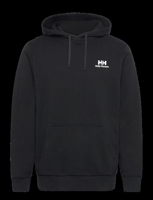 Helly Hansen | Core Graphic Hoodie | L