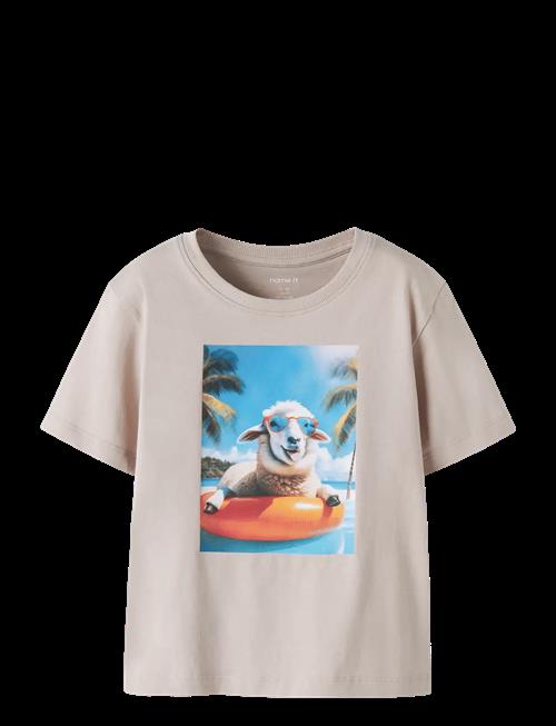 name it | Nmmvoto Ss Nreg Top | 104