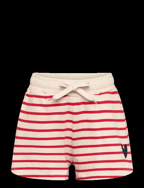The New | Tnnil Shorts | 122/128