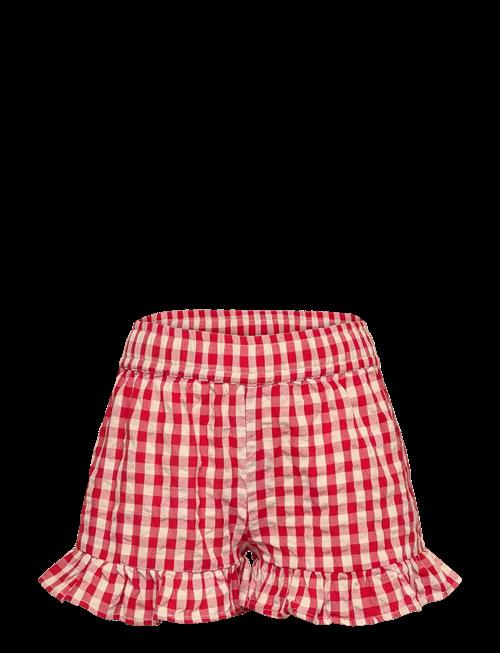 The New | Tnnally Shorts | 146/152