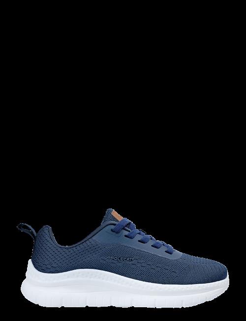 Polecat | Arcus California | 39-25.9