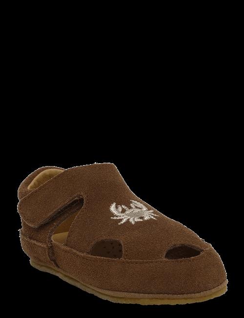 Wheat | Indoor Sandal Pax | 22