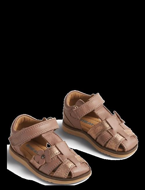 Wheat | Sandal Sky Flower | 20