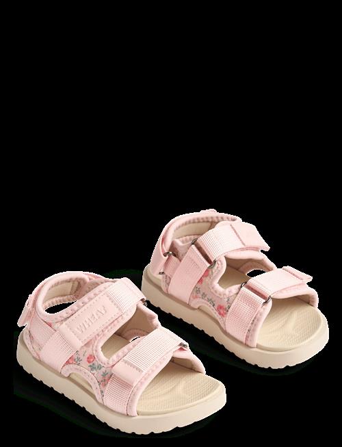 Wheat | Sandal Mandy | 30