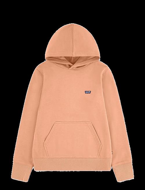 Levi's | Levi's® Mini Batwing Pullover Hoodie | 152