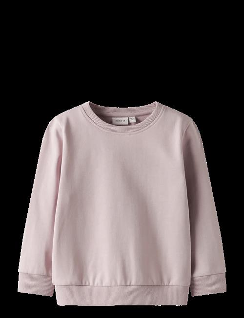 name it | Nmnseli Ls Swe Bru Noos | 116