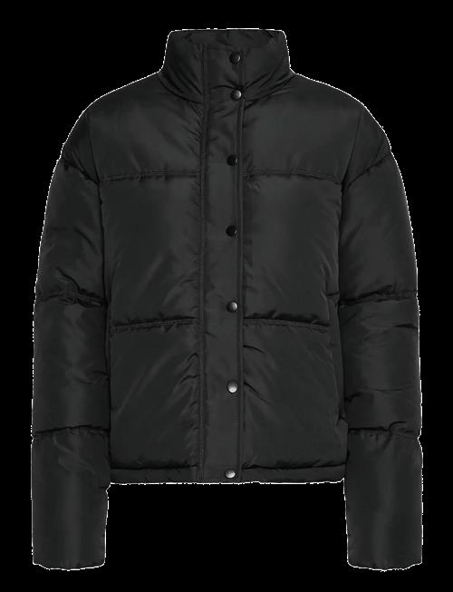 Fransa | Frebba Ja 1 | XL