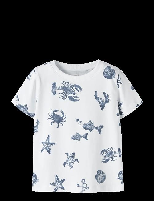 name it | Nmmfille Ss Top Box | 92
