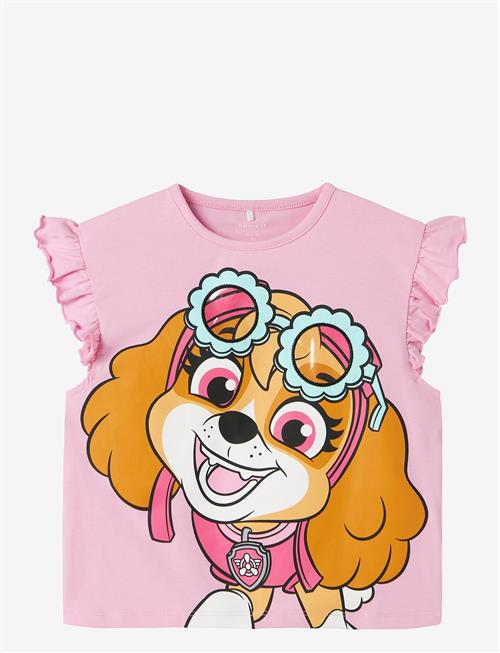 name it | Nmfmara Paw Capsl Nreg Top Box Cplg | 92