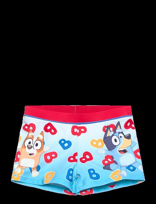 Bluey | Swimsuit | 104