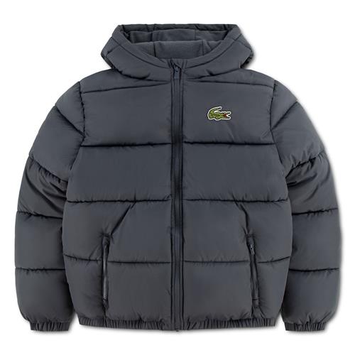 Lacoste Lcn Lacoste Core Puffer Jkt Lacoste Graphite Lacoste Graphite 140 cm  Grå  140 cm  Drenge, Piger