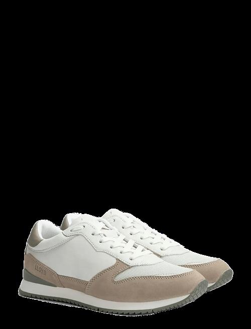 Lloyd | Swift | 42
