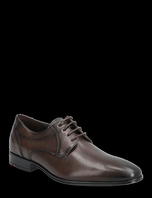 Lloyd | Core 111 | 46.5