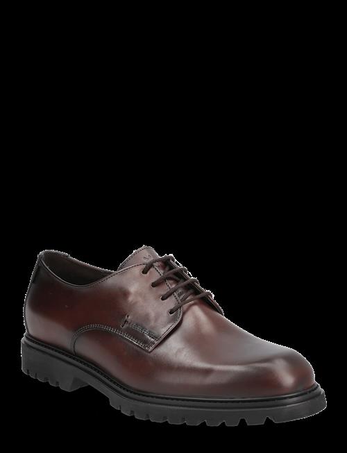 Lloyd | Select 117G | 46.5