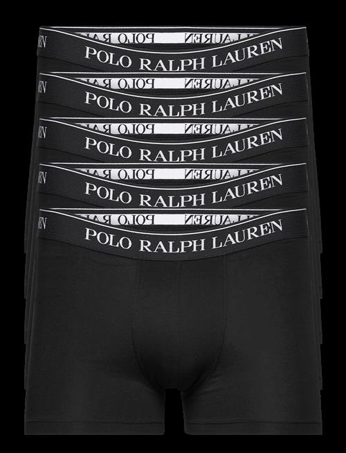 Polo Ralph Lauren | Classic Stretch Cotton Trunk 5-Pack | XL
