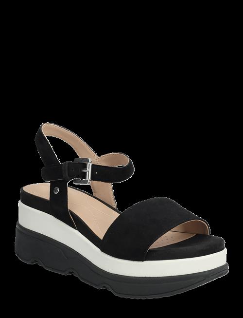 GEOX | D Gardenia C | 39